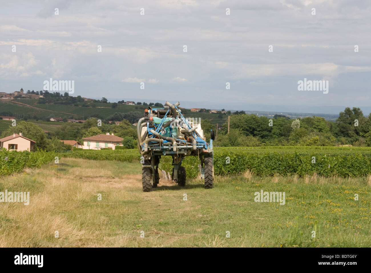 Grape picking machine in vineyard in Burgundy France Stock Photo