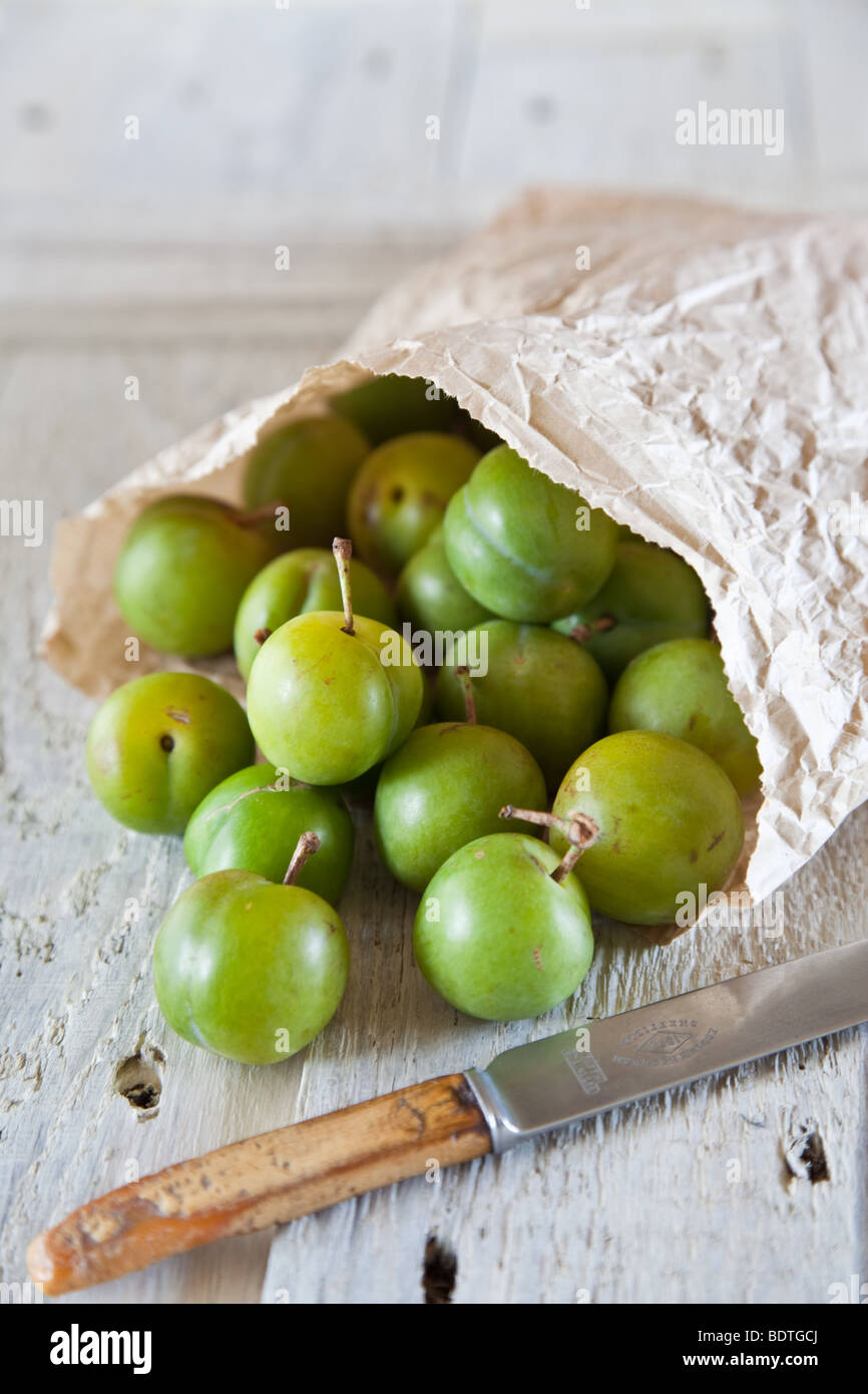Fresh greengages spilling from a brown paper bag with knife on white wooden boards Stock Photo