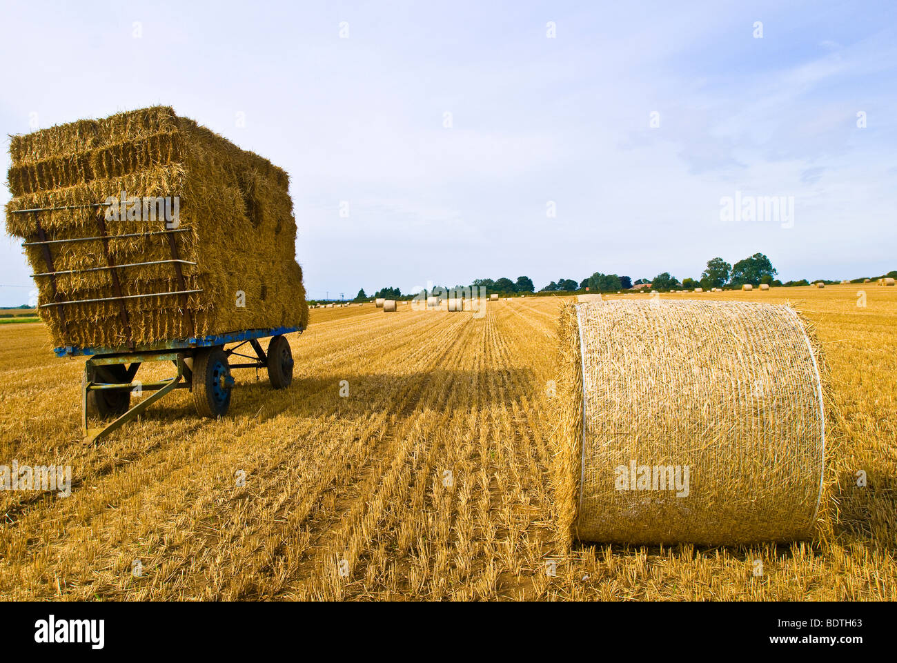 Baled straw on a wagon waiting for collection, East Yorkshire Stock Photo Alamy