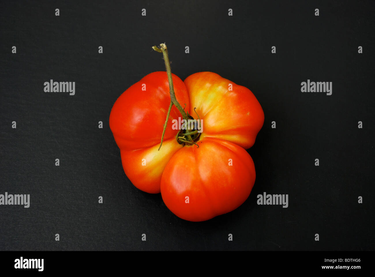 Super Fantastic, home grown tomato Stock Photo