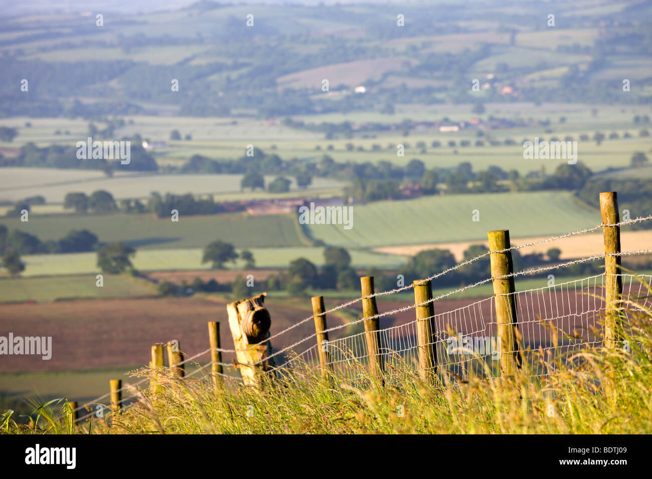 Barbed wire fence dividing fields in rural Devon, England. Summer (June) 2009 Stock Photo