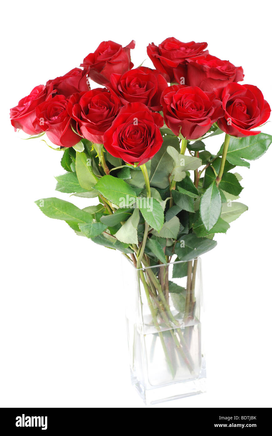 Red roses in a glass vase isolated Stock Photo