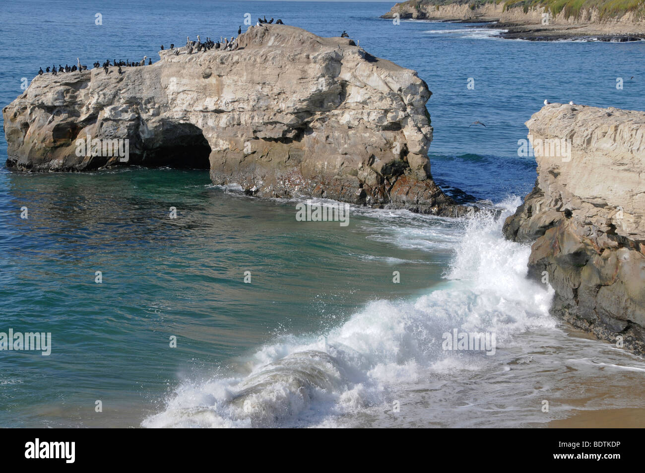 natural bridges state park santa cruz