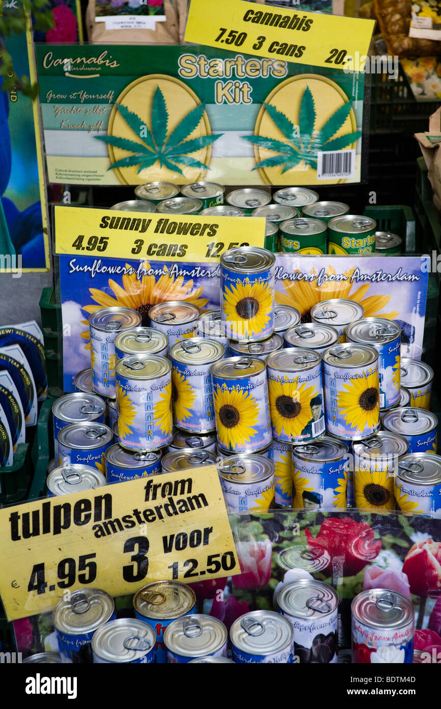 Self grow cannabis kits for sale in an Amsterdam market Stock Photo