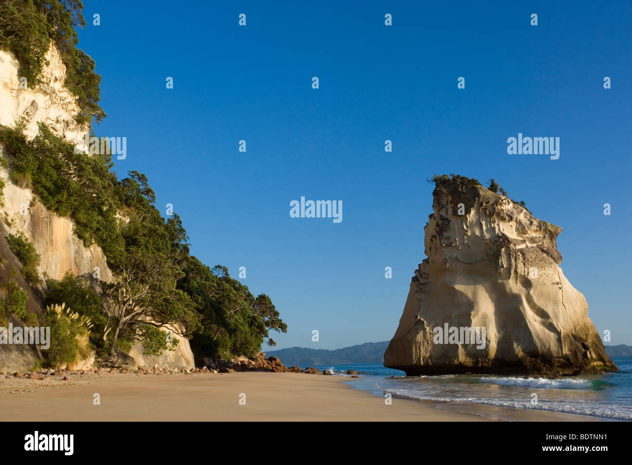 Cathedral Cove, by wind and water artfully sculpted rock formation at beach of Cathedral Cove, Coromandel Peninsula, New Zealand Stock Photo