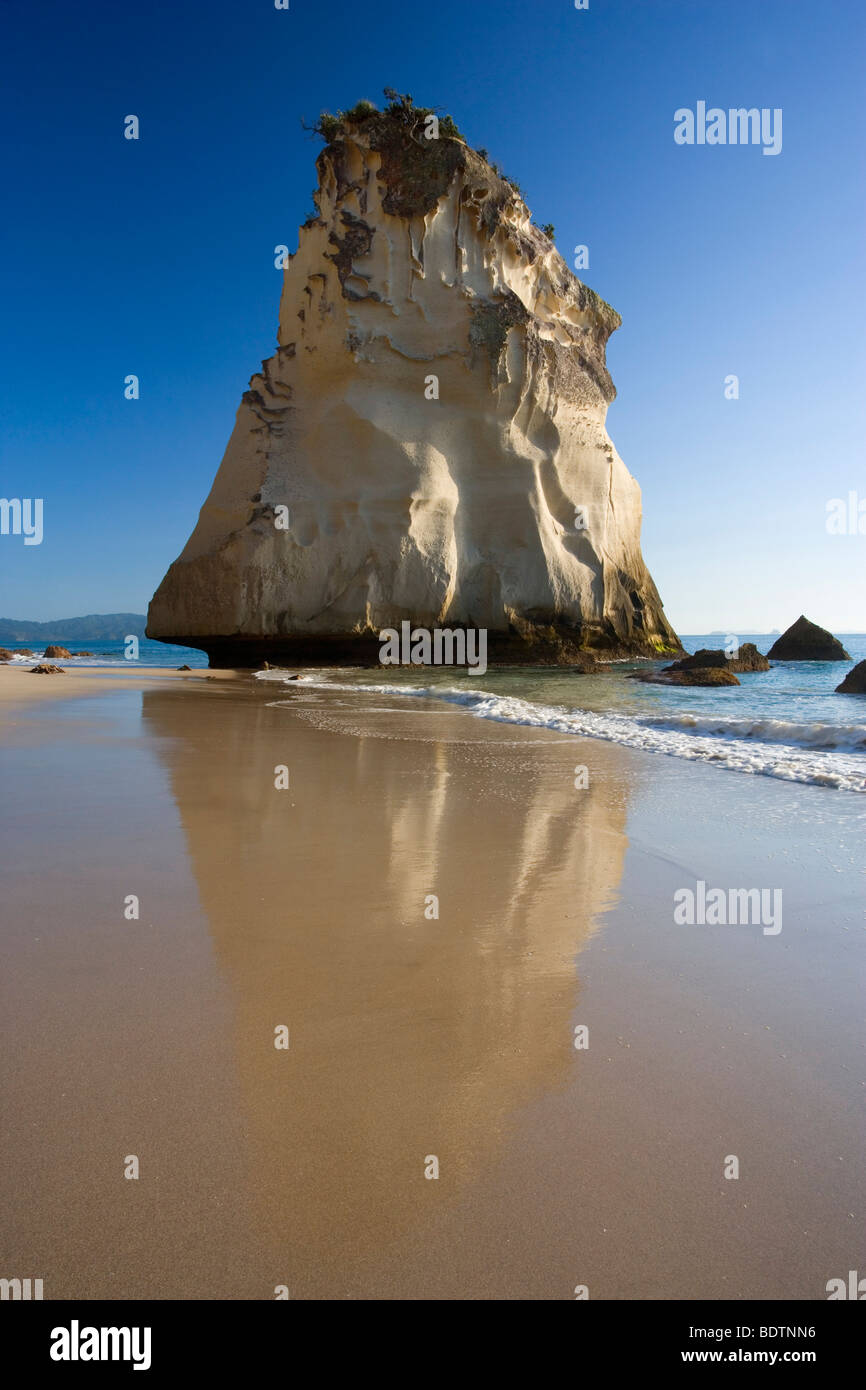 Cathedral Cove, by wind and water artfully sculpted rock formation at beach of Cathedral Cove, Coromandel Peninsula, New Zealand Stock Photo