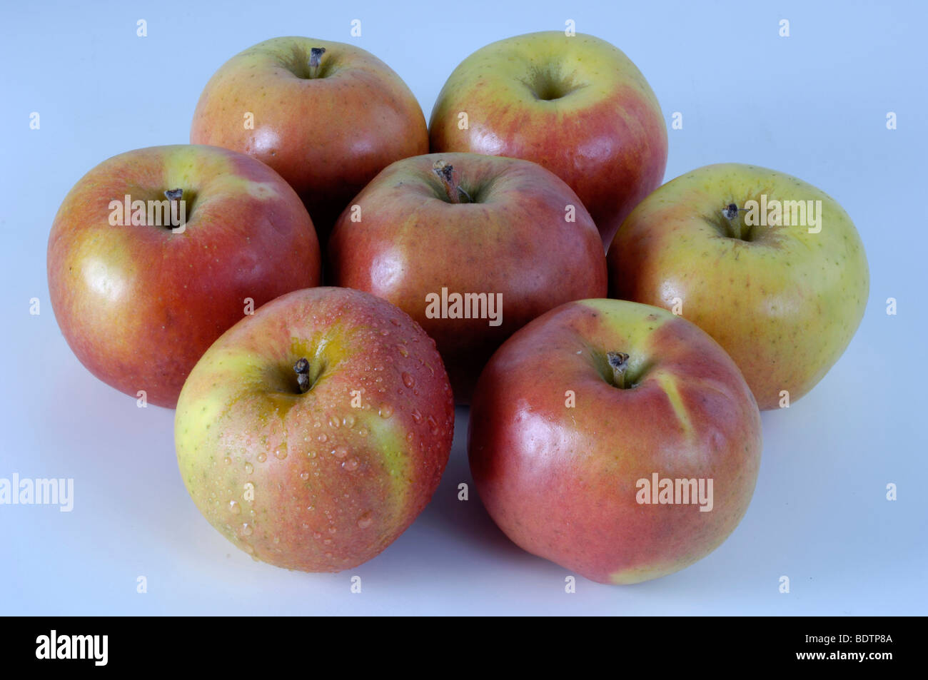 Apfel, Berlepsch, Apples, Malus domesticus, Aepfel, innen, Studio, indoor Stock Photo