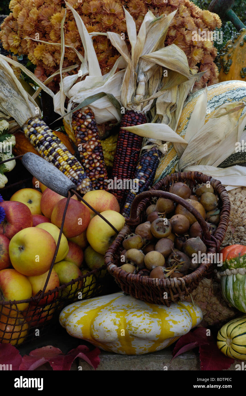 apple-picking-season-stock-photo-alamy