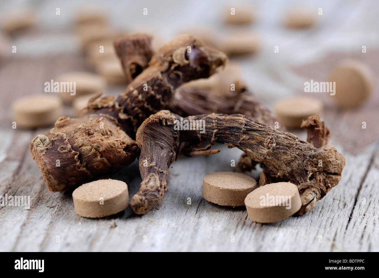 Alpinia galanga condiment pills medicine Stock Photo