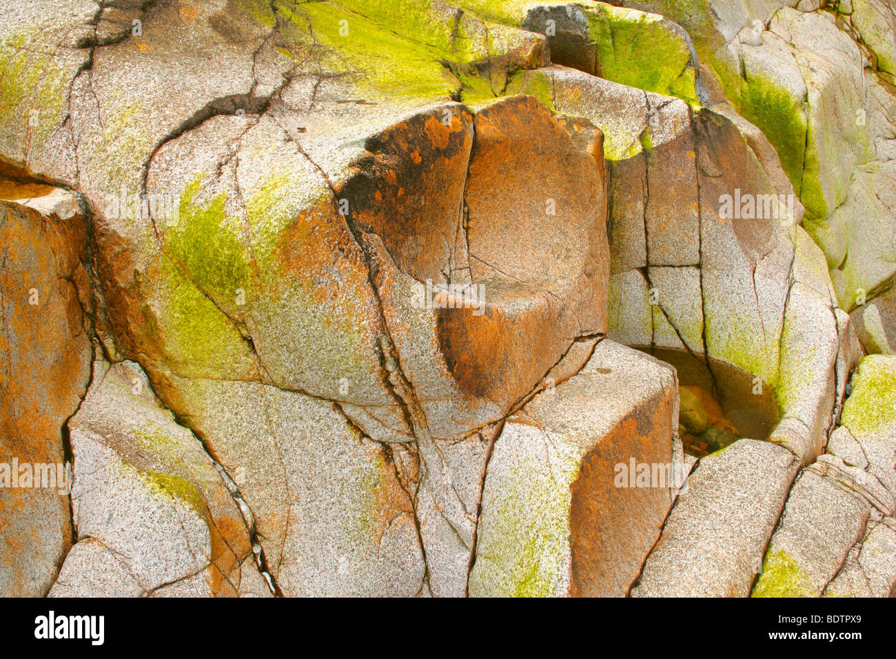 riverbed rocks covered with colourful algae and lichen in dried out riverbed Etive river, Glen Etive, Glencoe area, Highlands, S Stock Photo