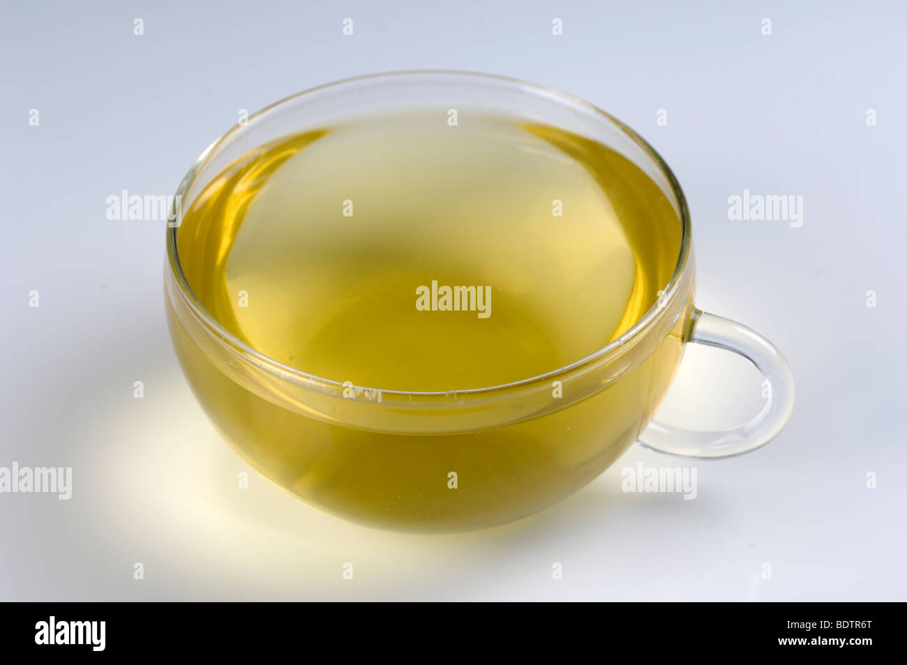 Cup of tea with Birch, Betula pendula, cut out, Objekt, object, Tasse Birken-Tee, Freisteller, Studioaufnahme, Querformat Stock Photo