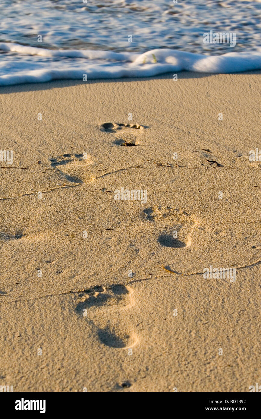 Fussspuren am Strand, footprints on the beach, Madagascar, Africa Stock Photo