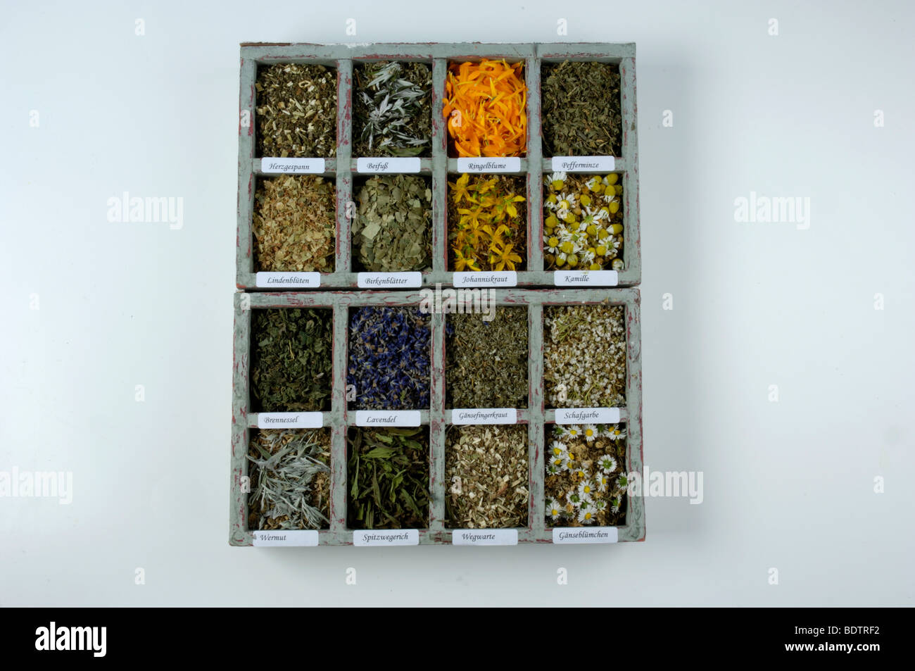 Diffrent dried herbs, Verschiedene getrocknete Kraeuter,Teekraeuter Stock Photo