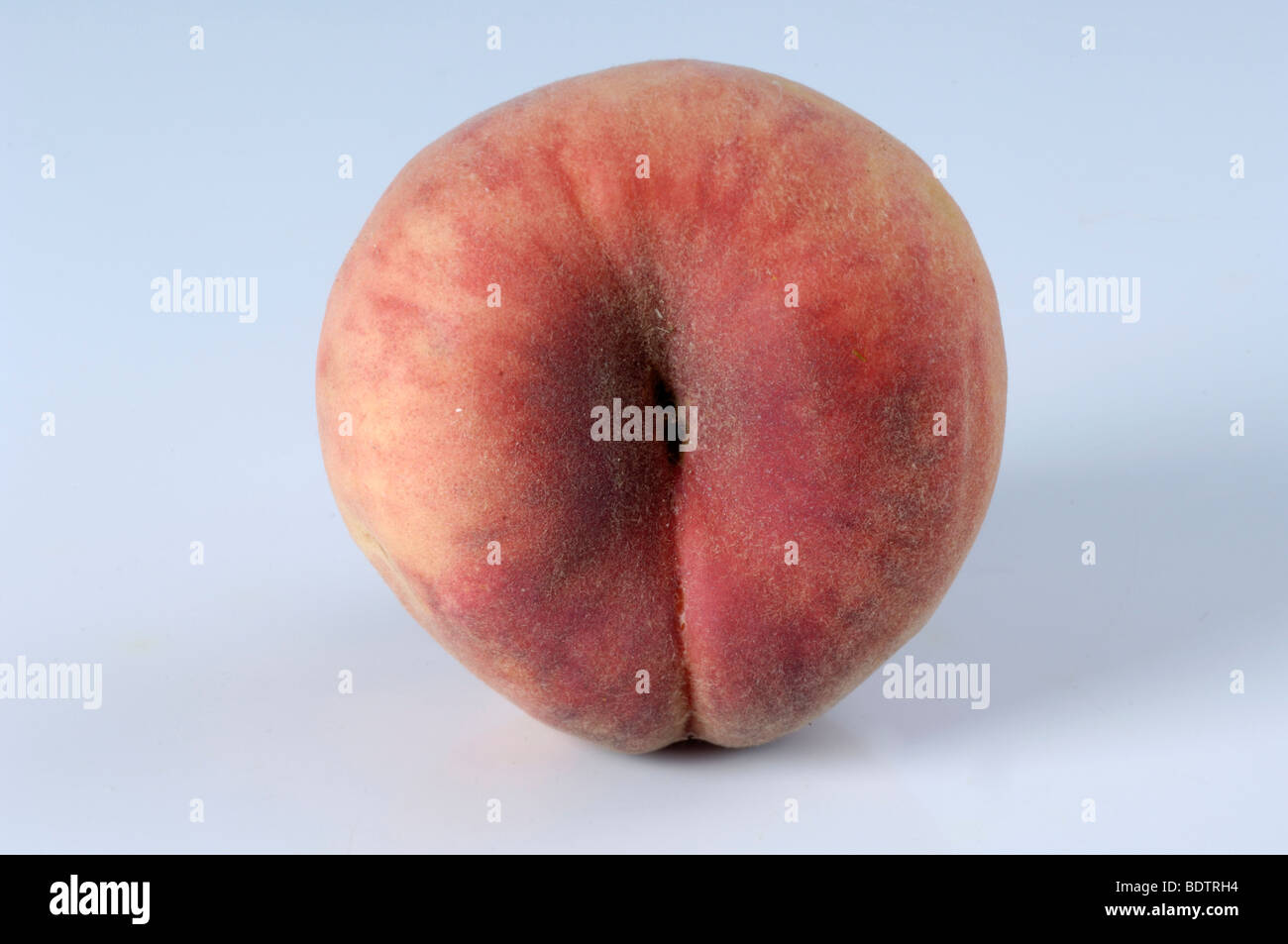 Peach, Prunus persica, Persica vulgaris, Pfirsich, Weinberg Stock Photo