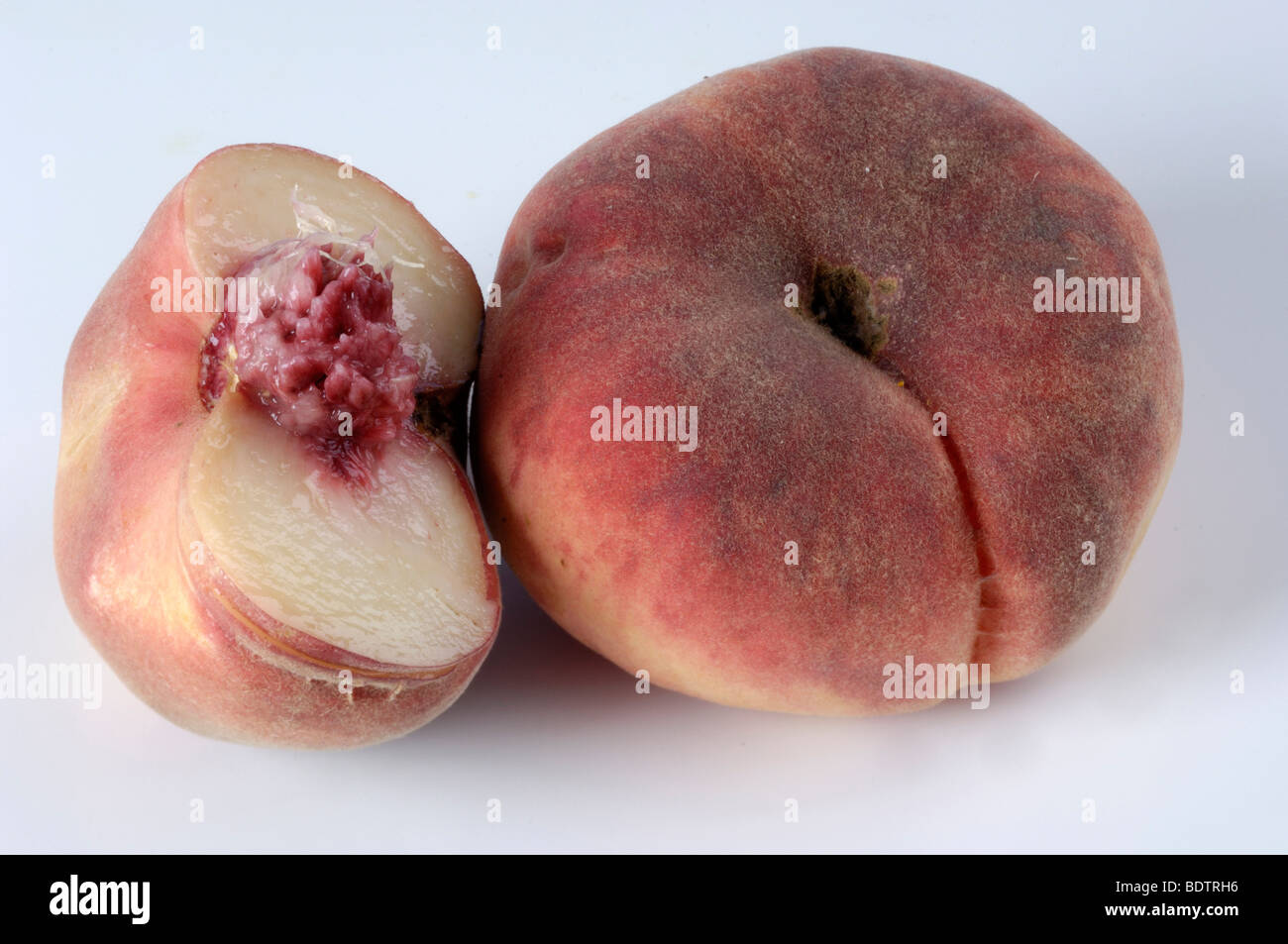Peach, Prunus persica, Persica vulgaris, Pfirsich Weinberg, Prunus persica, Persica vulgaris Stock Photo