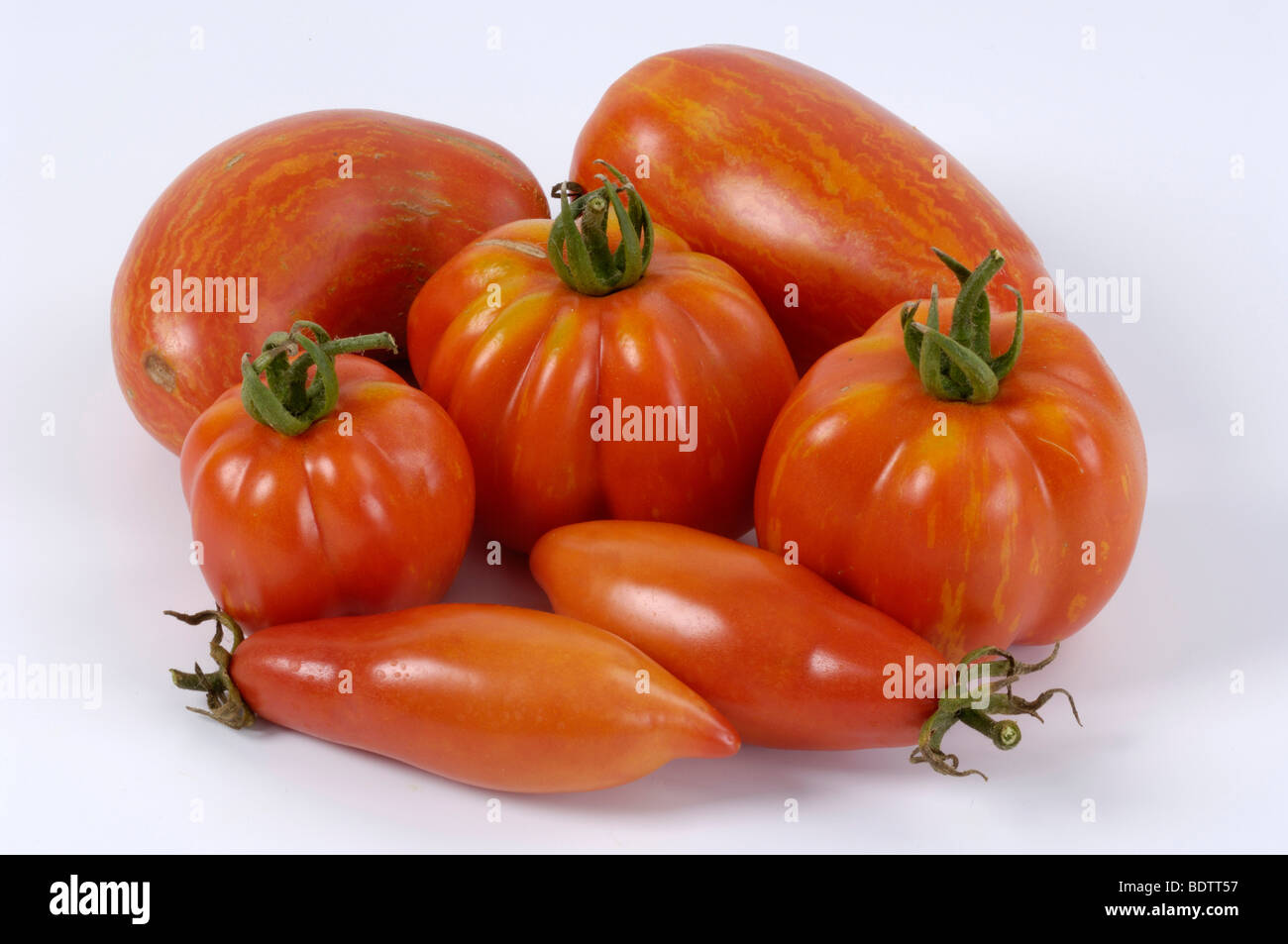 Tomatoes, Solanum lycopersicum, Tomaten Stock Photo