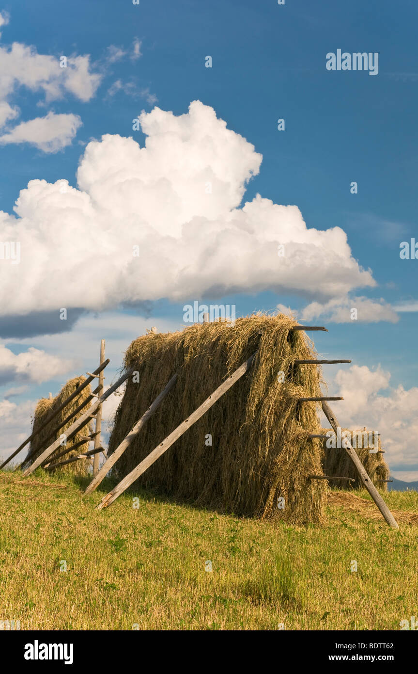 heuschober, storsjoe, haerjedalen, schweden, haystack, sweden Stock Photo