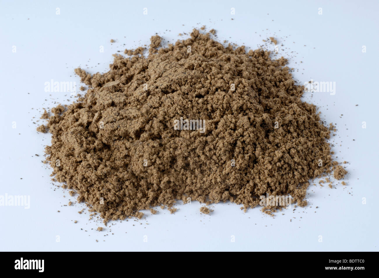 Reishi powder, cut out, object, Glaenzender Lackporling Pulver, Ganoderma lucidum, Heilpilze, Freisteller, Objekt Stock Photo