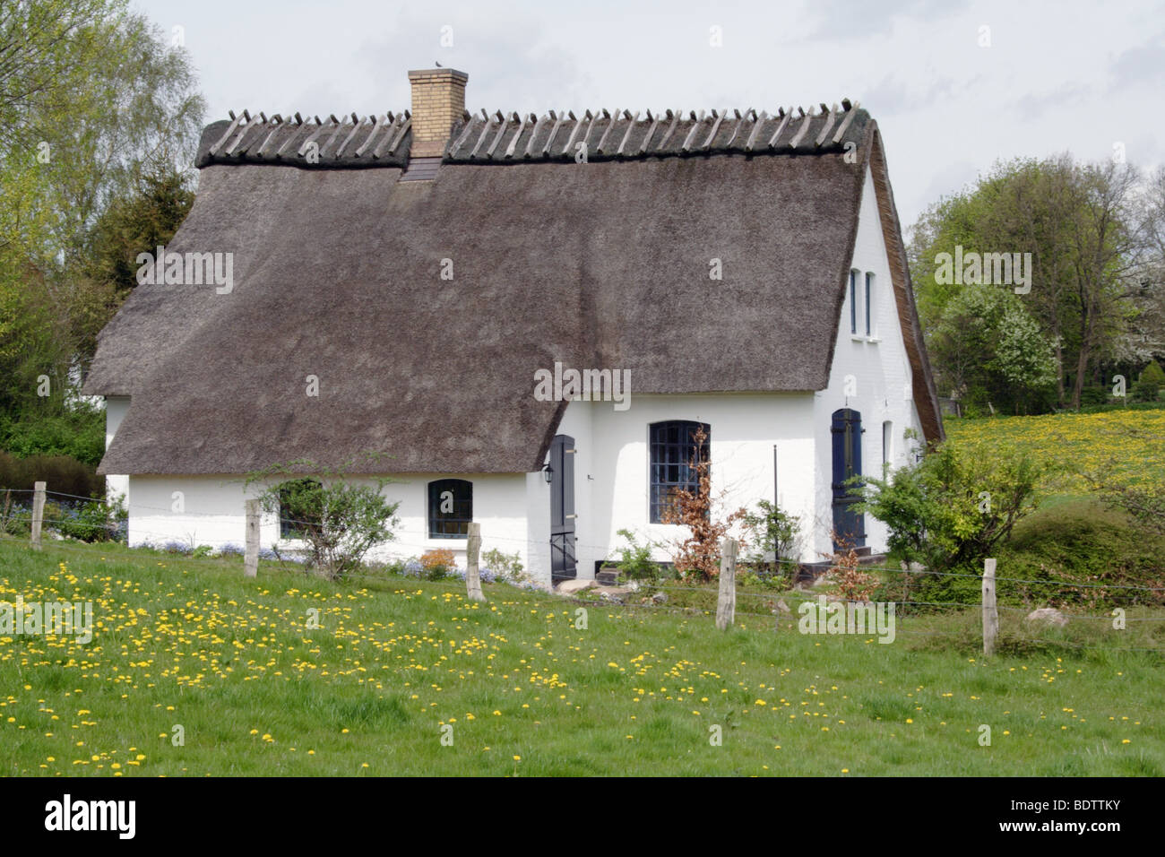 reetdachhaus, thatched roof house, schleswig-holstein, germany, deutschland, europa, europe Stock Photo