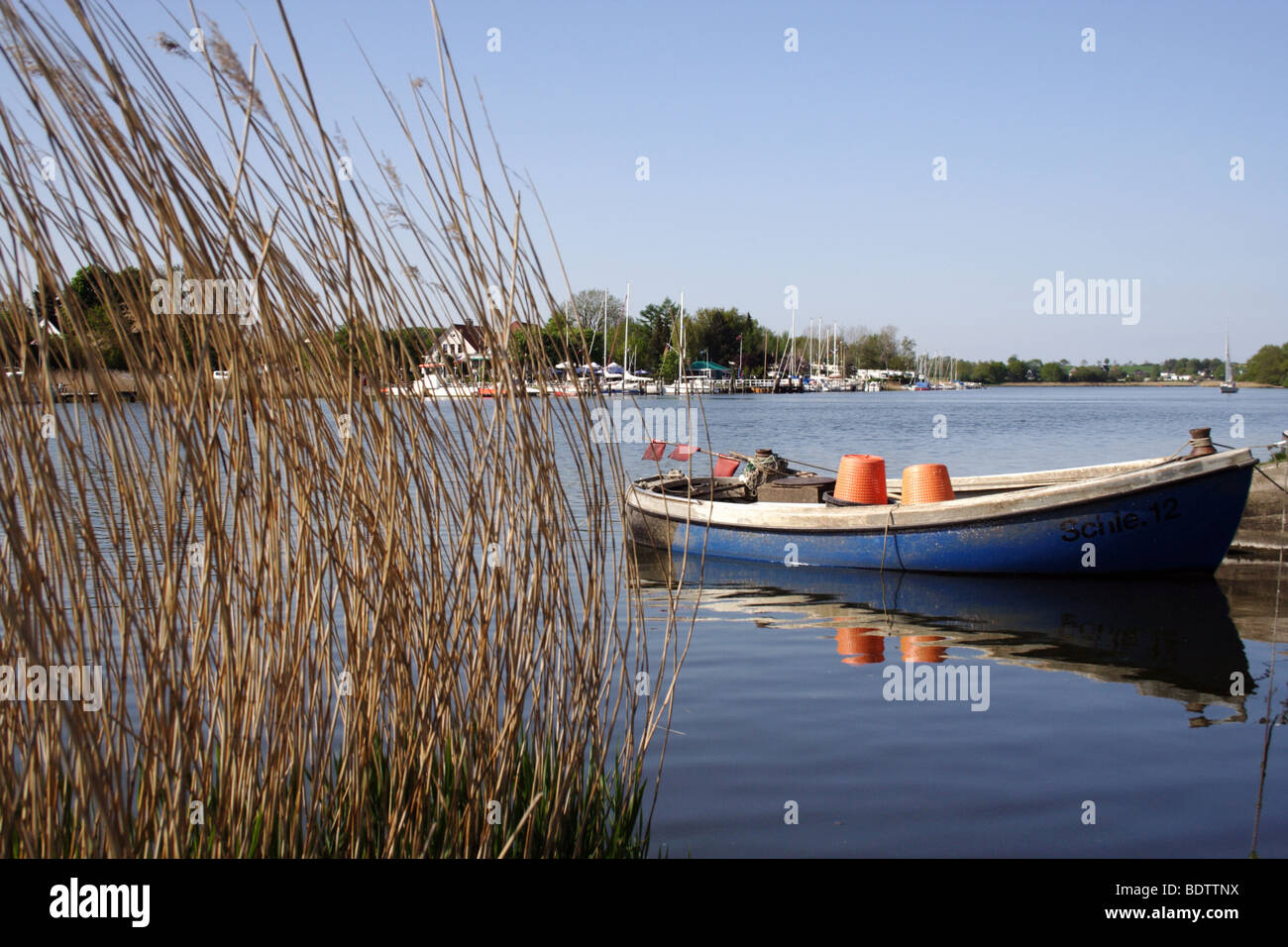 boat at the riverbank of river schlei, schleswig-holstein, germany, deutschland, europa, europe Stock Photo