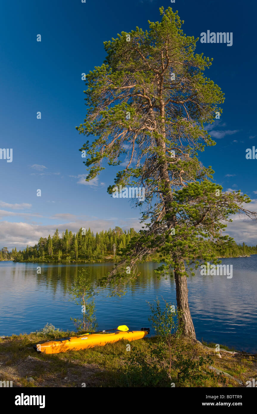 kajak an einem see im naturreservat rogen, haerjedalen, schweden, kayak at a lake in nature reserve rogen, sweden Stock Photo