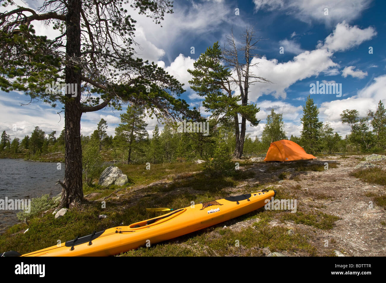 outdoor camping im naturreservat rogen, haerjedalen, schweden, nature