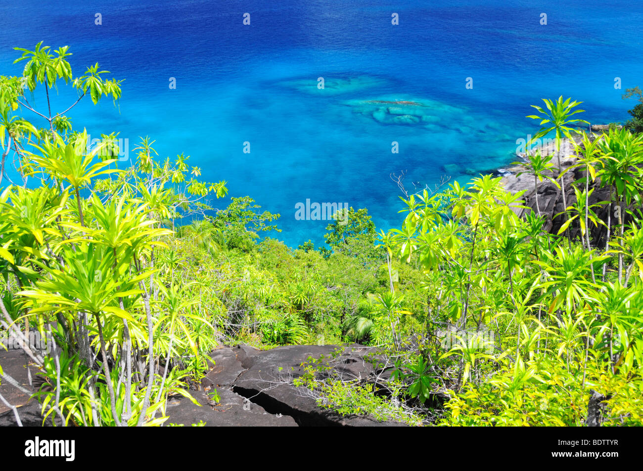 Tropical vegetation and sea, Mahe Island, Seychelles, Africa, Indian Ocean Stock Photo