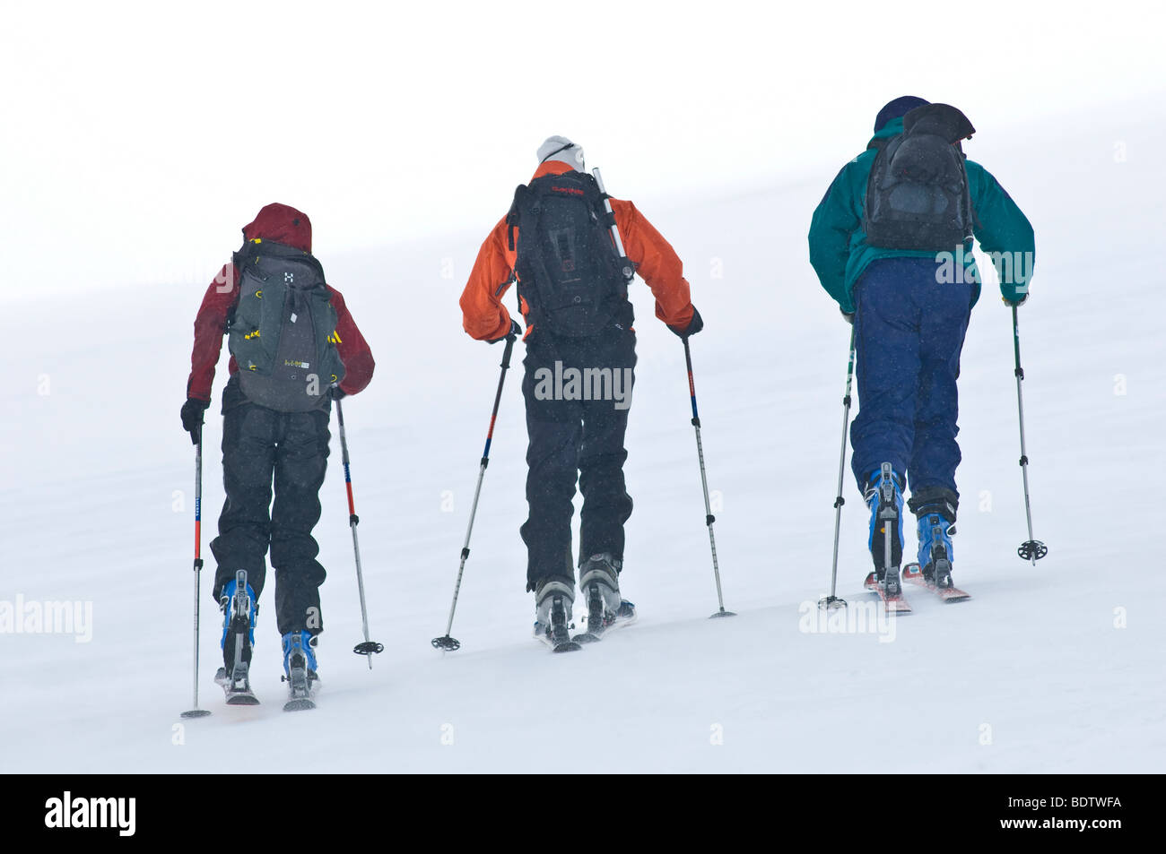 skitourengeher im schneetreiben, storulvan, jaemtlands fjaell, jaemtland, schweden, ski touring in driving snow, sweden Stock Photo