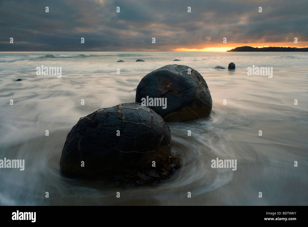 Moeraki Boulders, massive spherical rocks at dawn surrounded by water of incoming tide, Coastal Otago, South Island, New Zealand Stock Photo