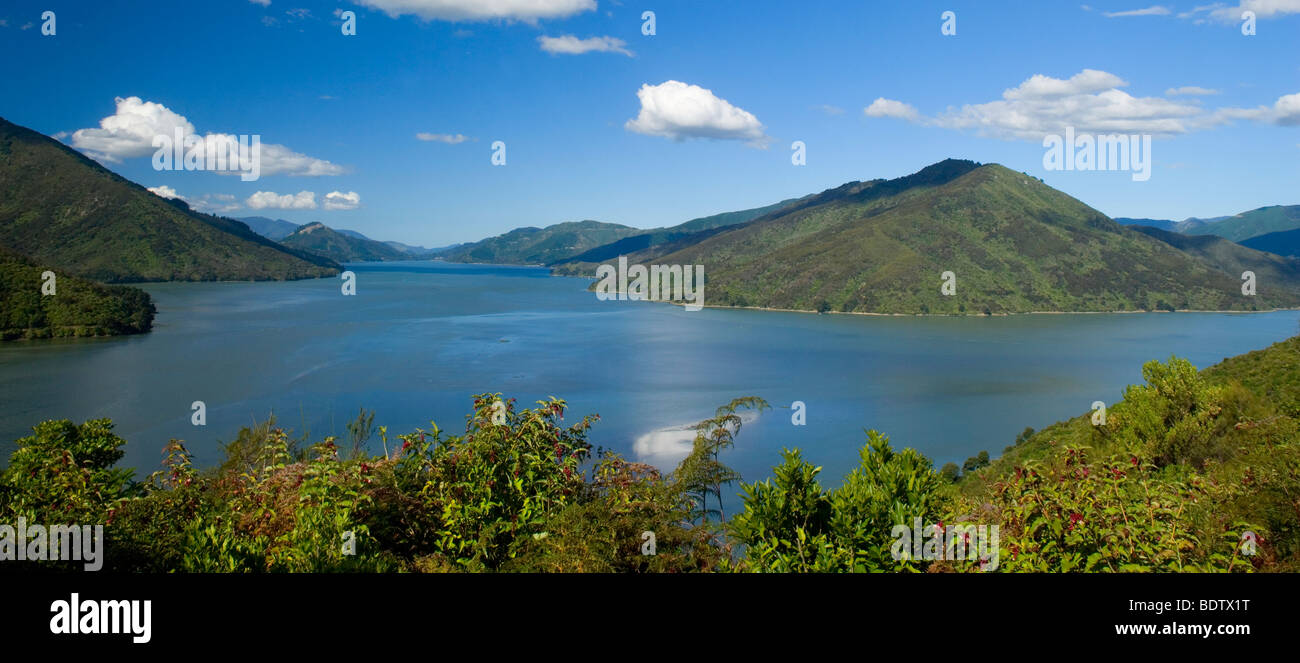 Pelorus Sound, view into Pelorus Sound with its many bays and forest-clad hills, Marlborough Sounds, South Island, New Zealand Stock Photo