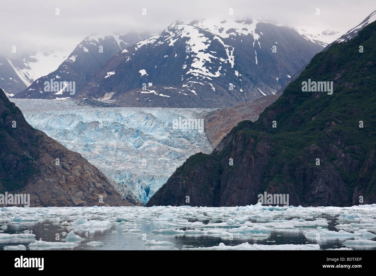 Sawyer-Gletscher - (Tracy Arm) / Sawyer-Glacier - (Tracy Arm) / Juneau - Alaska Stock Photo