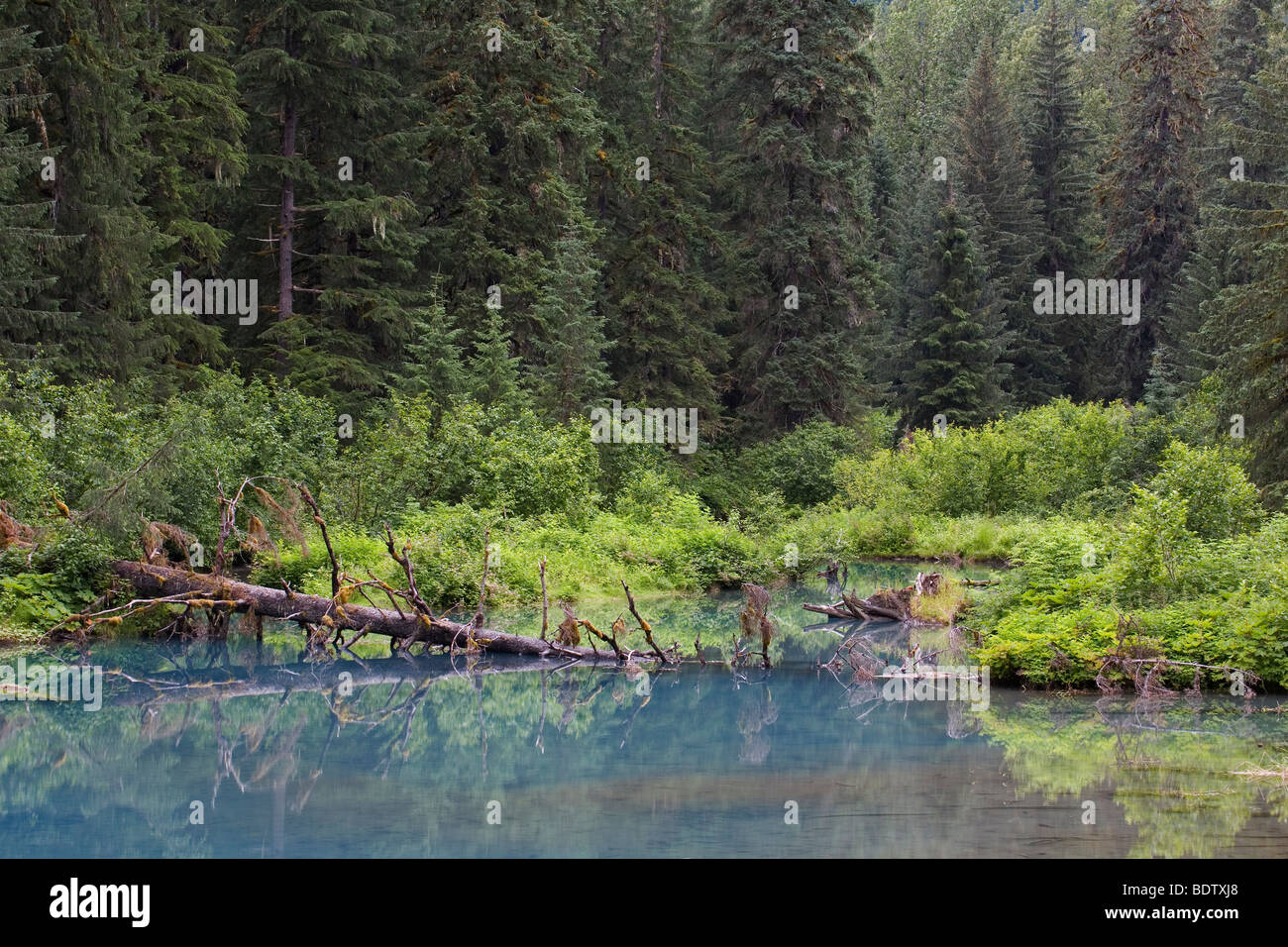 Die Blaue Lagune am Fish Creek / Blue Lagoon at Fish Creek / Hyder - Alaska Stock Photo
