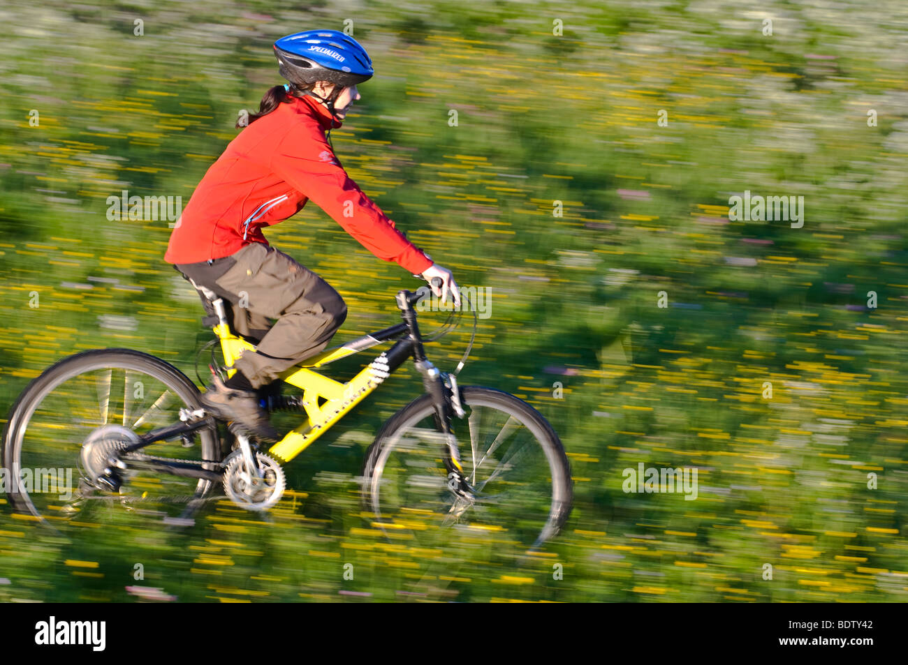 downhill cyclist rides through flower meadow, lapland, sweden Stock Photo