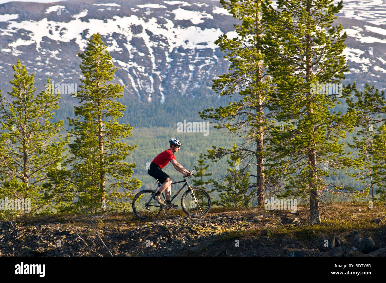 mountainbiker in gaellivare, lappland, schweden, downhill cyclist, lapland, sweden Stock Photo