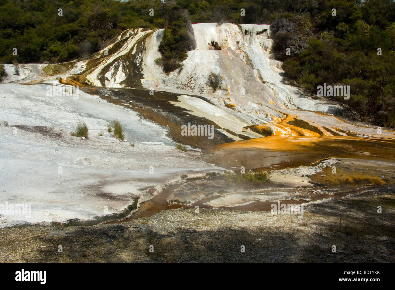 Terrace, hot pool and colourful silica terrace formed by hot water, Orakei Korako, Waikato, North Island, New Zealand Stock Photo