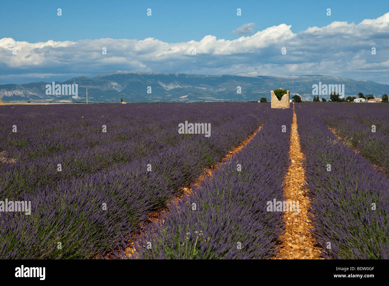 Provencal Landscape in france Stock Photo Alamy