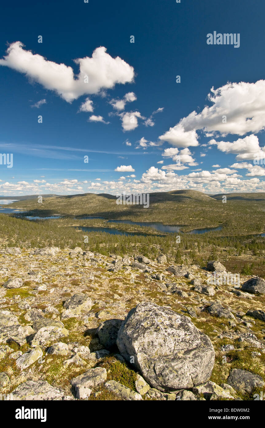 blick auf seen im naturreservat rogen, haerjedalen, schweden, view at lakeland in nature reserve rogen, sweden Stock Photo