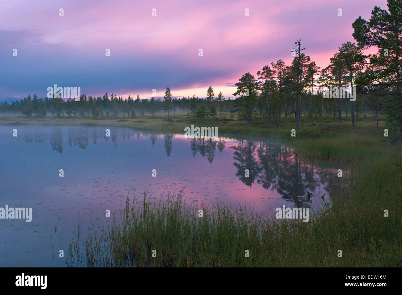 abendstimmung bei seenlandschaft bei sonnenuntergang, lappland, schweden, evening mood with lake scenery at sunset, sweden Stock Photo