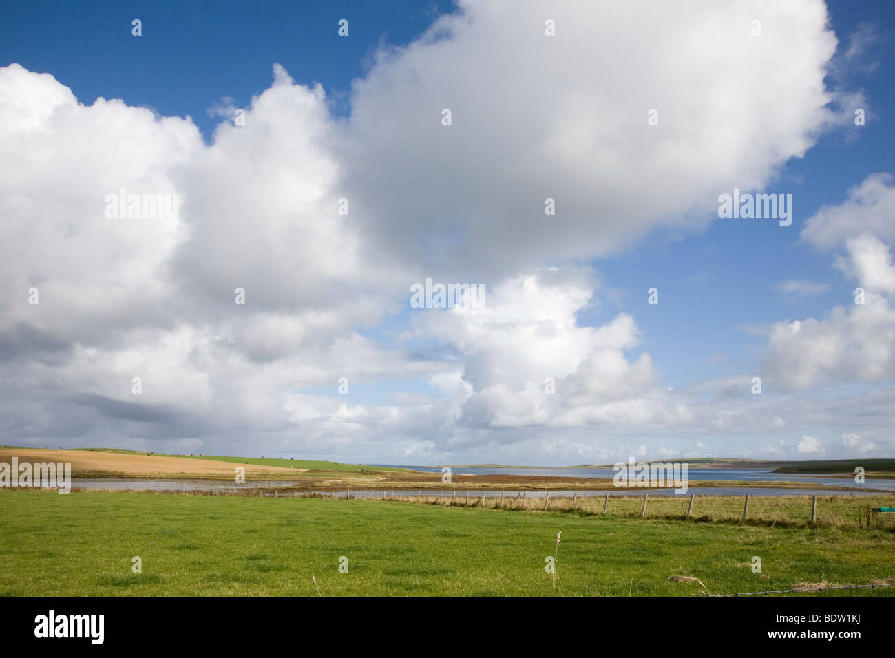 landeschaft auf der insel mainland der orkney-inseln, coastal scenery of mainland, orkney islands, scotland, schottland Stock Photo