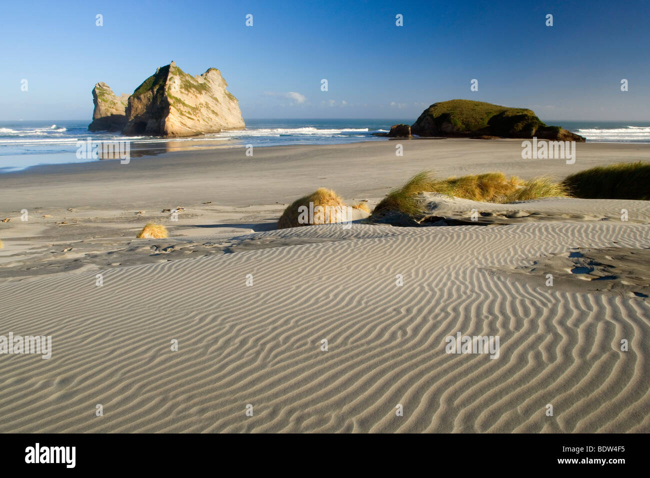 sand dunes and by powerful surf sculpted rock islands with caves and arches at Wharariki beach, New Zealand Stock Photo