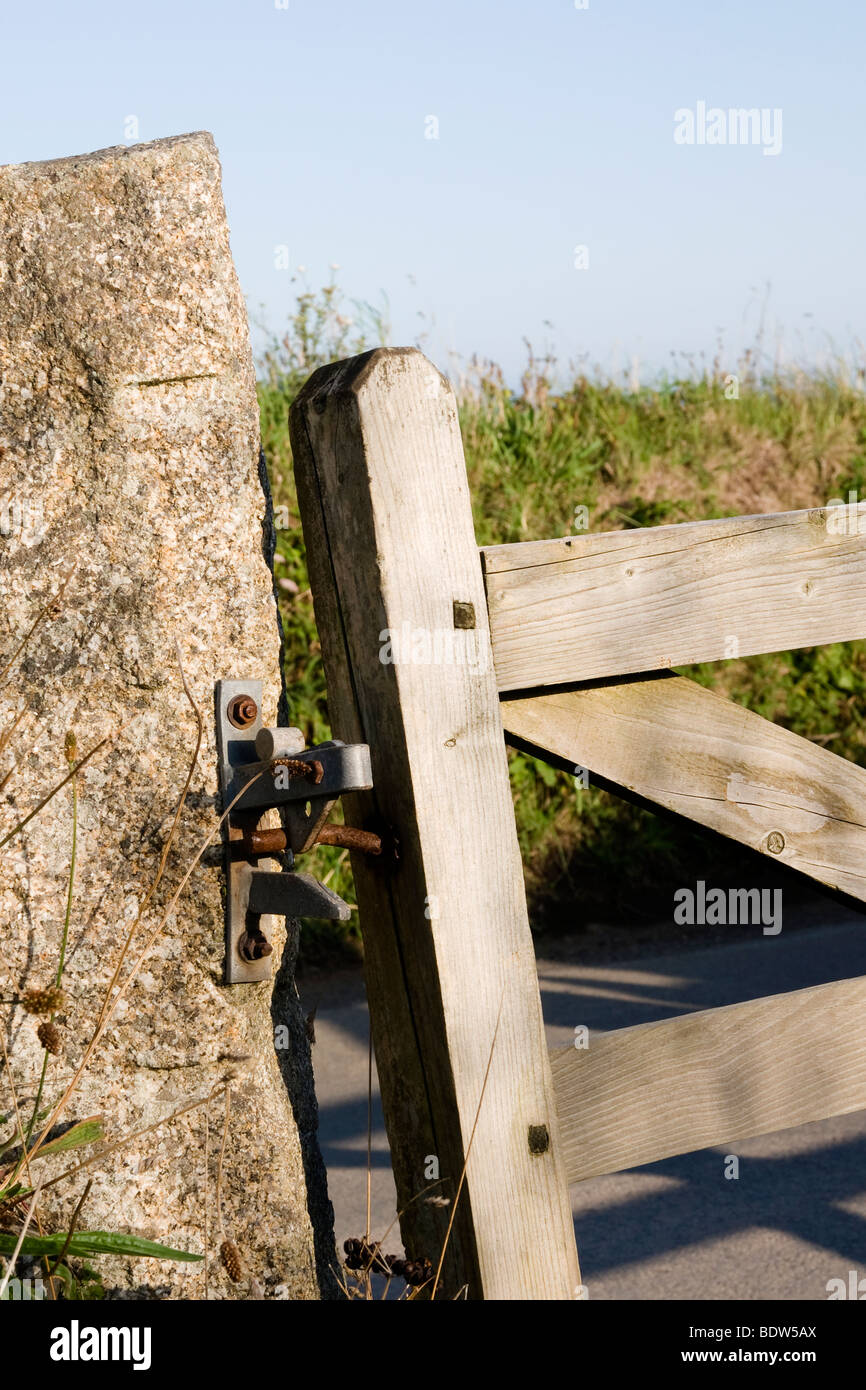 Lizard Cornwall England UK Stock Photo - Alamy