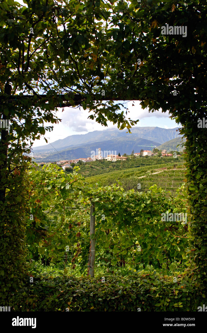 Vineyards in the St. Stefano Prosecco wine region, Route del Prosecco, Veneto, Italy, Europe Stock Photo