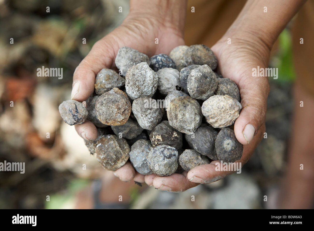 Page 4 Sousa High Resolution Stock Photography And Images Alamy