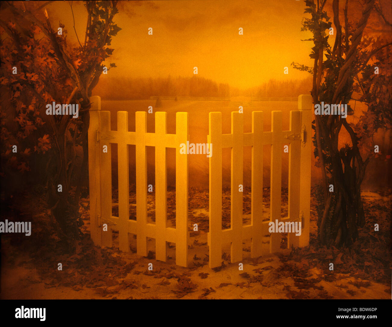 View of an opened farm gate at sunset, this was shot in the studio with props Stock Photo