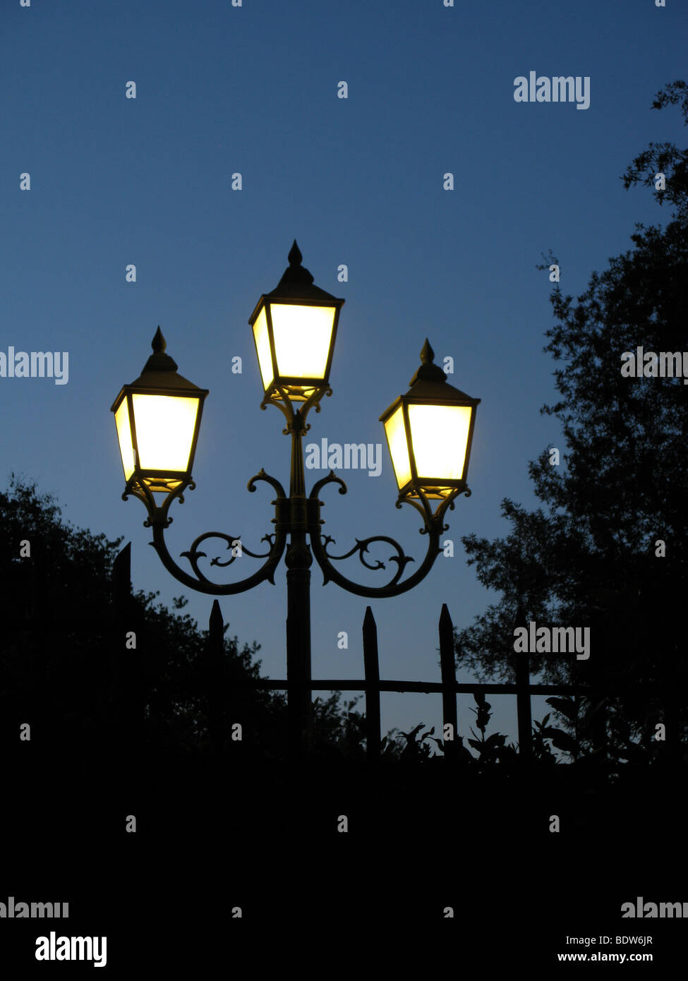 old style lamp post at night in trees Stock Photo Alamy