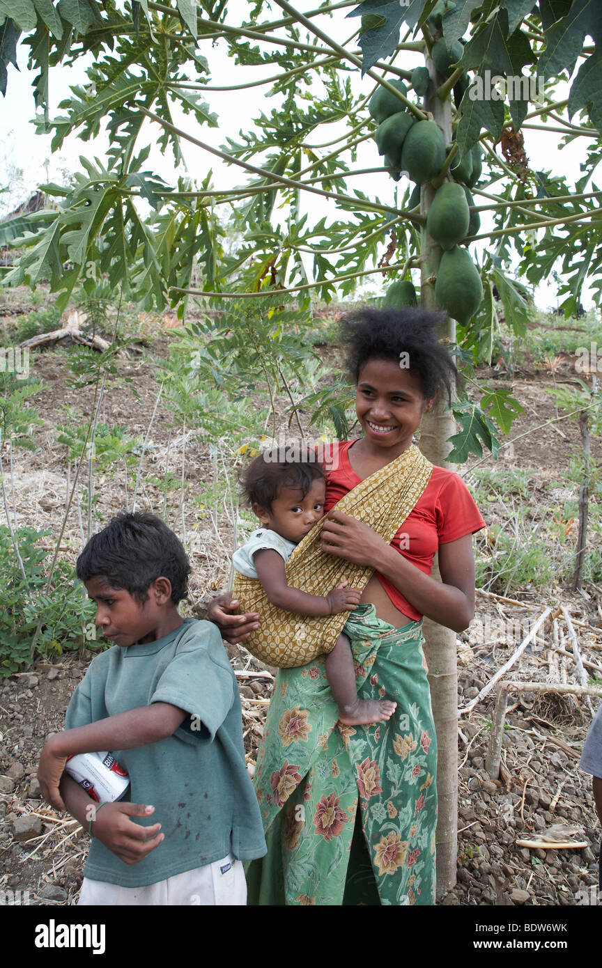 TIMOR LESTE Vegetable and fruit garden, communally farmed, in Kutepe ...