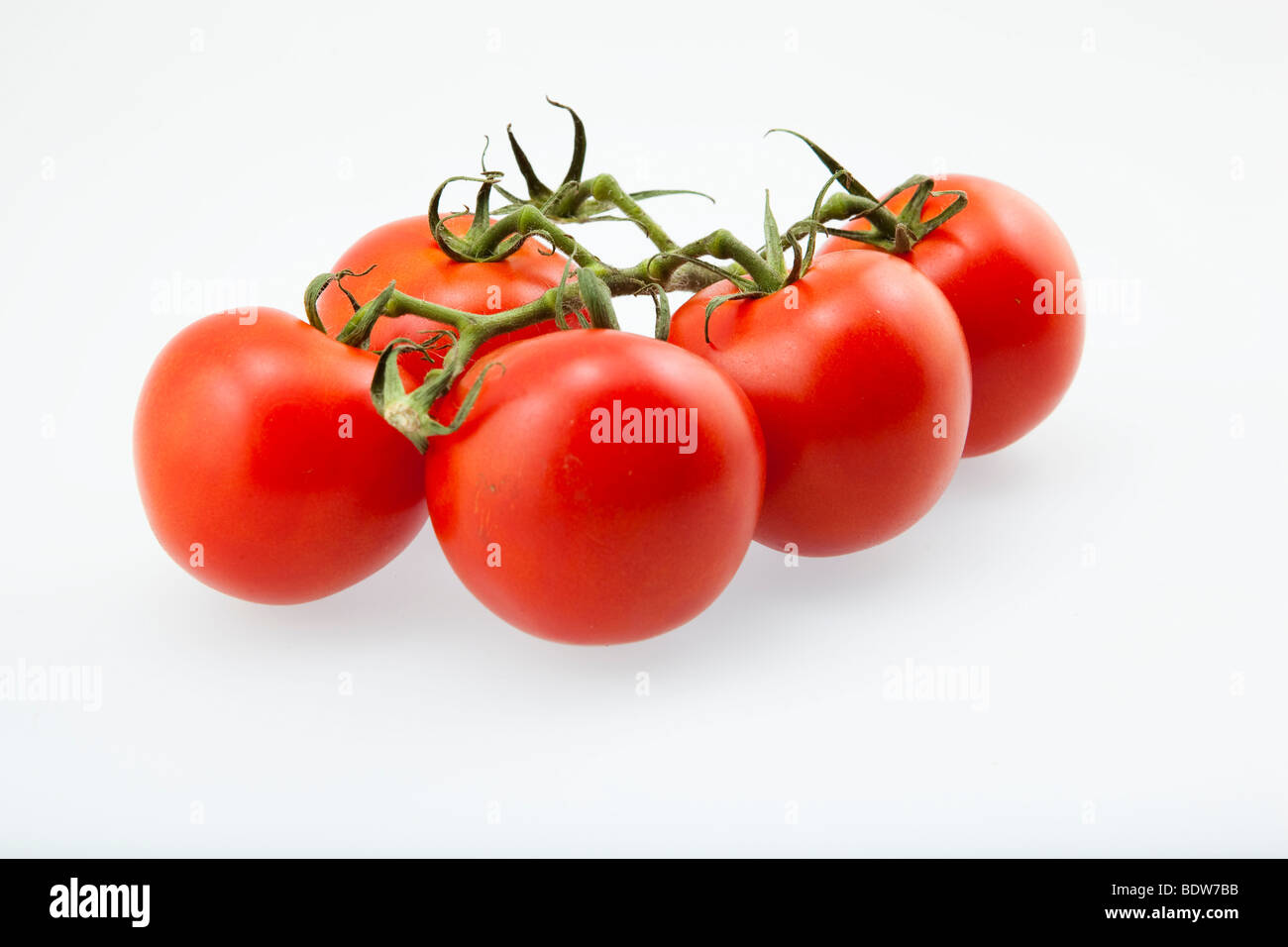 Vine ripened tomatoes Stock Photo Alamy