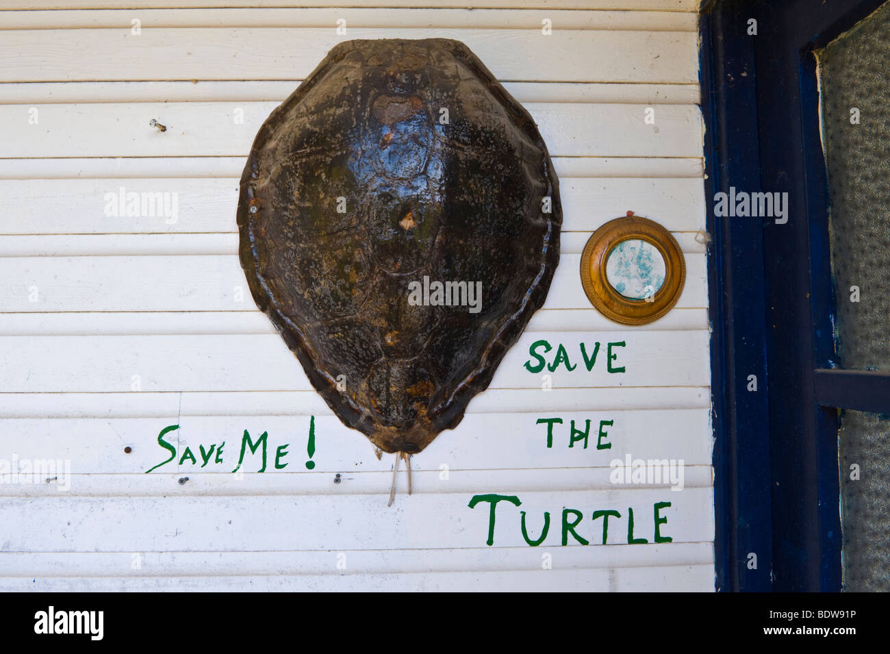 SAVE THE TURTLE Loggerhead turtle shell outside house in Skala on the Greek Mediterranean island of Kefalonia Greece GR Stock Photo