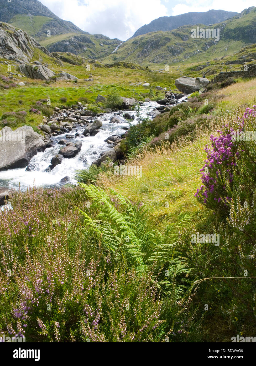 A pretty waterfall in the Glyders, Snowdonia Wales UK Stock Photo