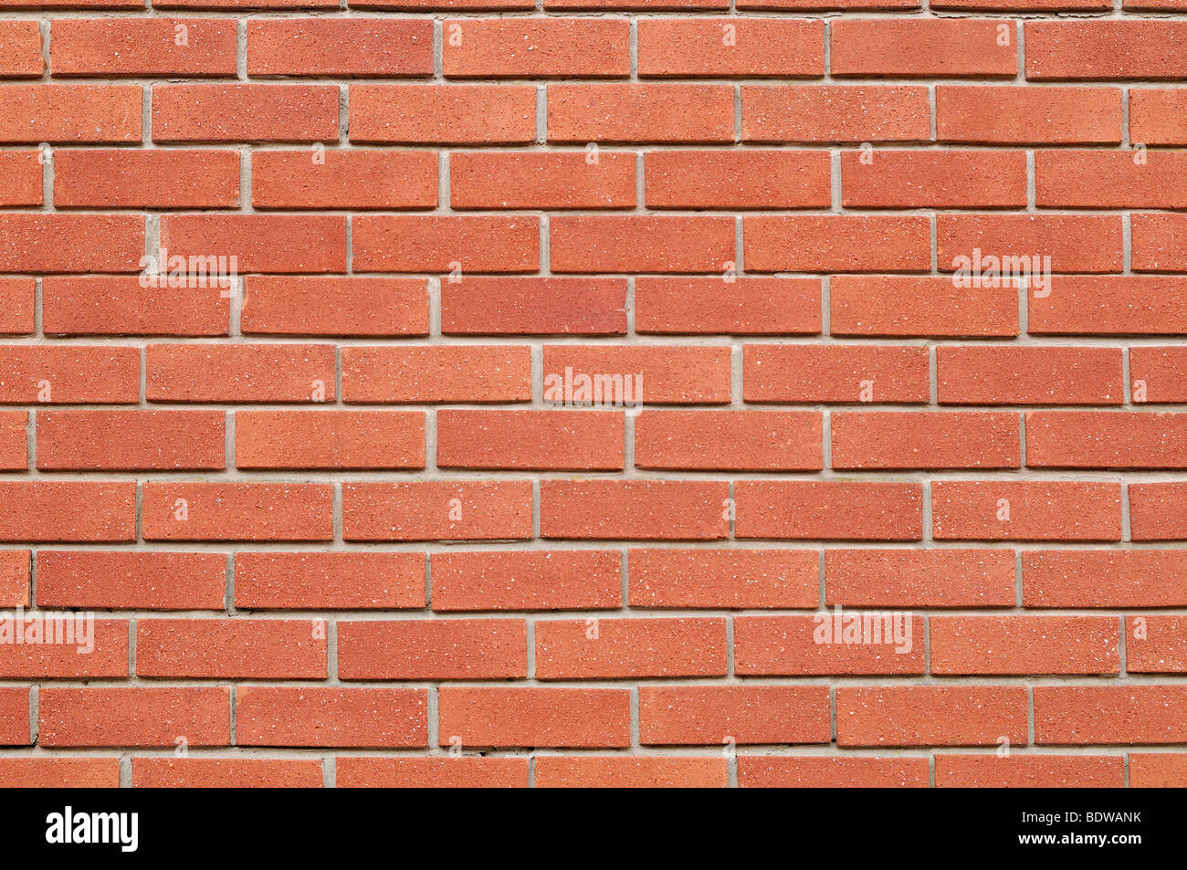 Brick Wall, Close Up. Stock Photo